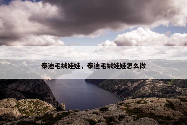 泰迪毛绒娃娃，泰迪毛绒娃娃怎么做