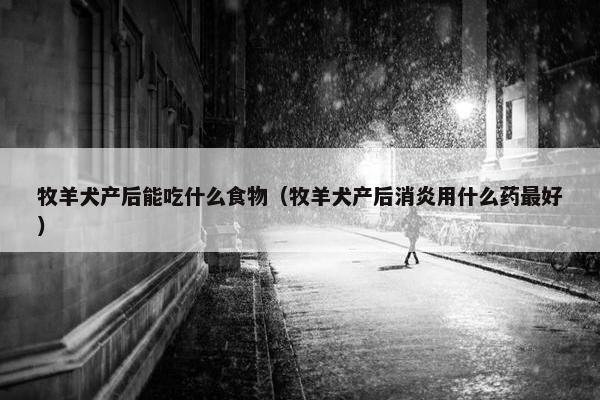 牧羊犬产后能吃什么食物（牧羊犬产后消炎用什么药最好）