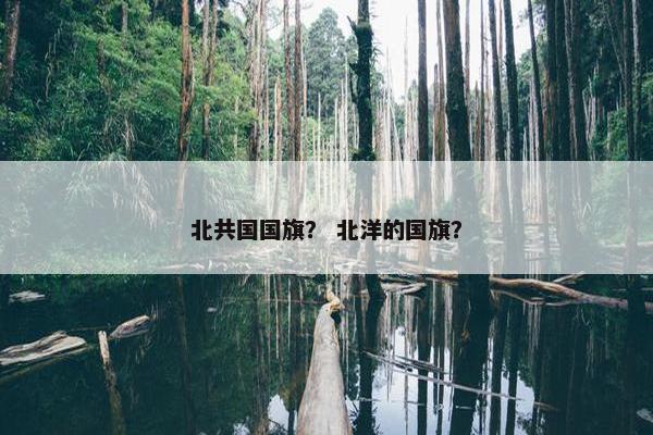北共国国旗？ 北洋的国旗？