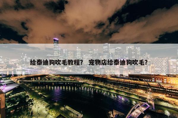 给泰迪狗吹毛教程？ 宠物店给泰迪狗吹毛？