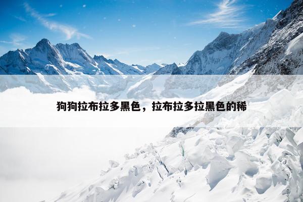 狗狗拉布拉多黑色，拉布拉多拉黑色的稀