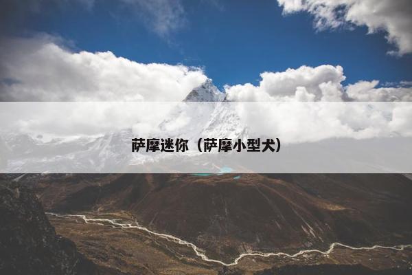 萨摩迷你（萨摩小型犬）