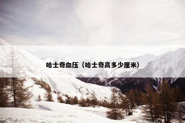 哈士奇血压（哈士奇高多少厘米）