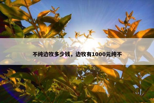 不纯边牧多少钱，边牧有1000元纯不