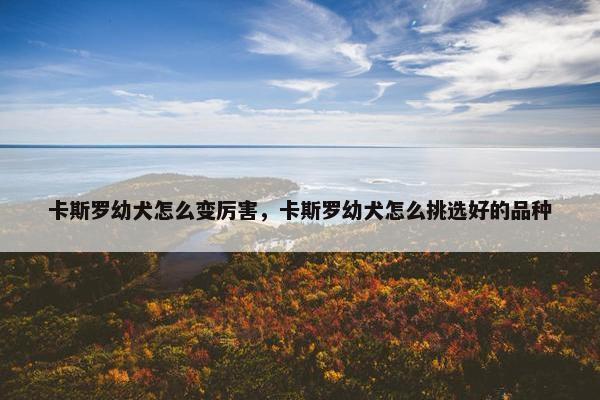 卡斯罗幼犬怎么变厉害，卡斯罗幼犬怎么挑选好的品种
