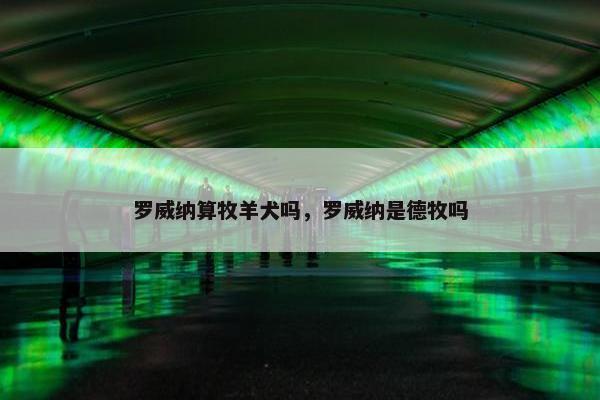 罗威纳算牧羊犬吗，罗威纳是德牧吗