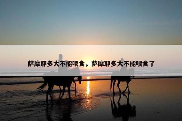 萨摩耶多大不能喂食，萨摩耶多大不能喂食了