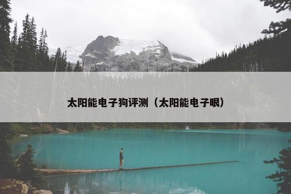 太阳能电子狗评测（太阳能电子眼）