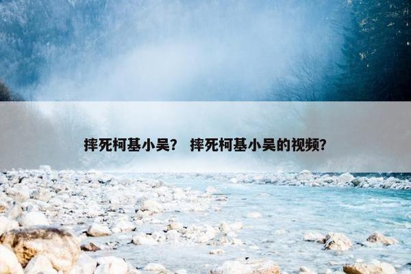 摔死柯基小吴？ 摔死柯基小吴的视频？
