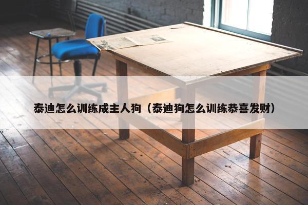 泰迪怎么训练成主人狗（泰迪狗怎么训练恭喜发财）