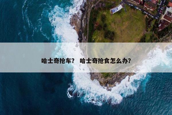 哈士奇抢车？ 哈士奇抢食怎么办？