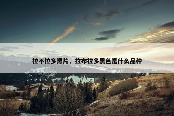 拉不拉多黑片，拉布拉多黑色是什么品种