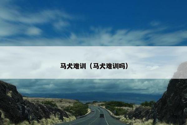 马犬难训（马犬难训吗）