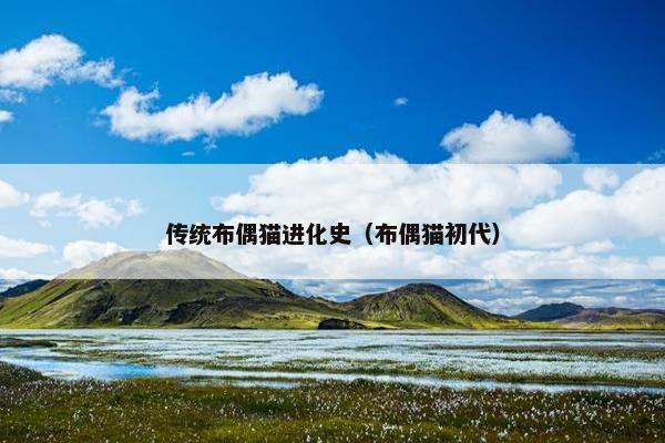 传统布偶猫进化史（布偶猫初代）