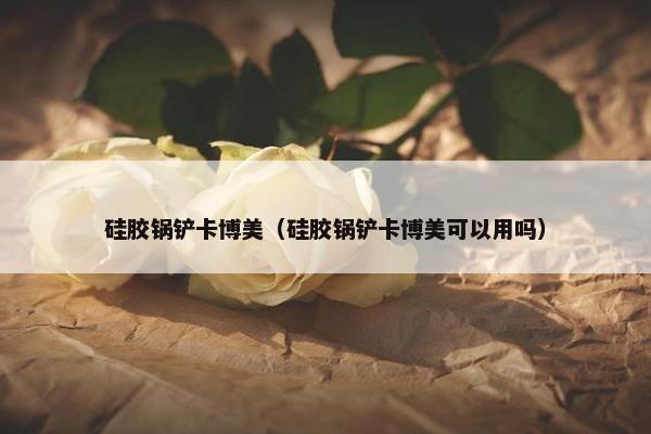 硅胶锅铲卡博美（硅胶锅铲卡博美可以用吗）