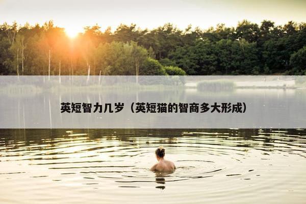 英短智力几岁（英短猫的智商多大形成）
