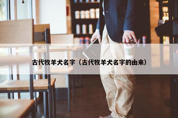 古代牧羊犬名字（古代牧羊犬名字的由来）