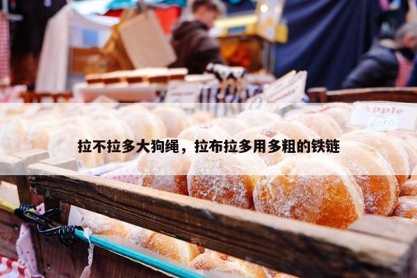 拉不拉多大狗绳，拉布拉多用多粗的铁链