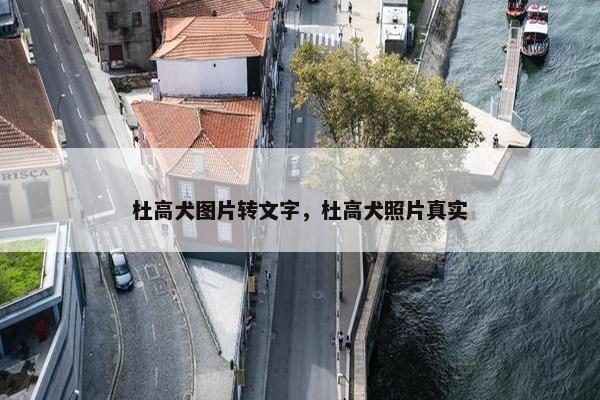 杜高犬图片转文字，杜高犬照片真实