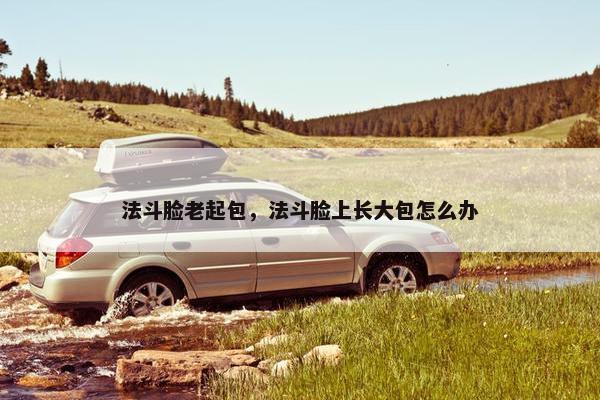 法斗脸老起包，法斗脸上长大包怎么办