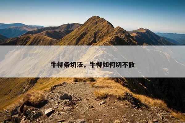 牛柳条切法，牛柳如何切不散