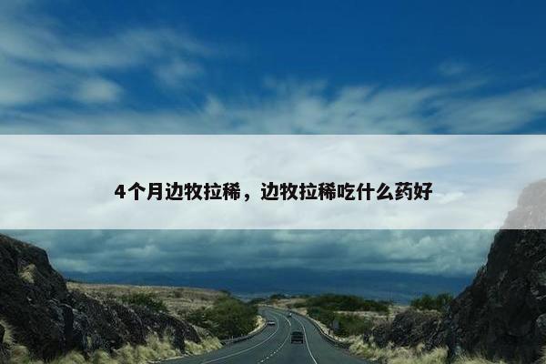 4个月边牧拉稀，边牧拉稀吃什么药好