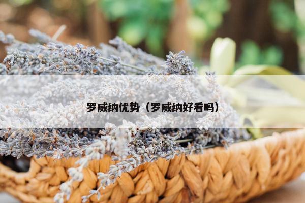 罗威纳优势（罗威纳好看吗）