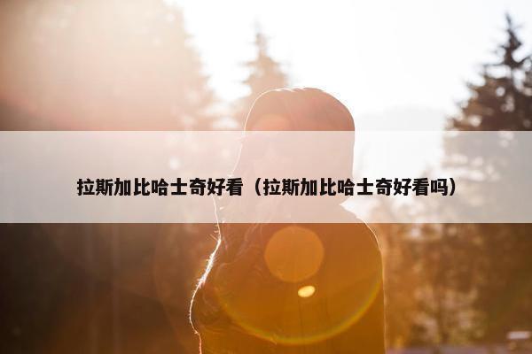 拉斯加比哈士奇好看（拉斯加比哈士奇好看吗）