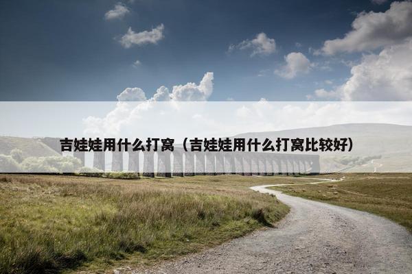吉娃娃用什么打窝（吉娃娃用什么打窝比较好）