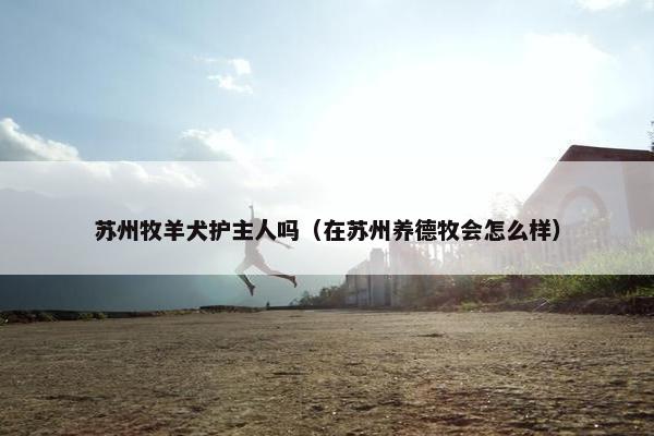 苏州牧羊犬护主人吗（在苏州养德牧会怎么样）