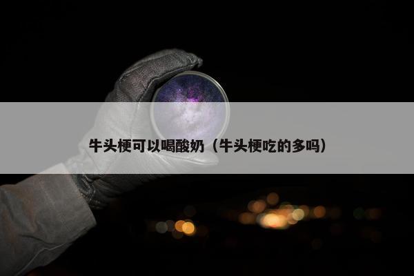 牛头梗可以喝酸奶（牛头梗吃的多吗）