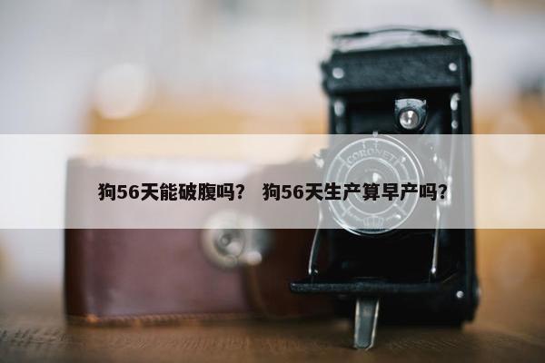狗56天能破腹吗？ 狗56天生产算早产吗？