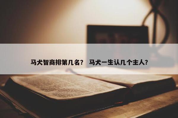 马犬智商排第几名？ 马犬一生认几个主人？