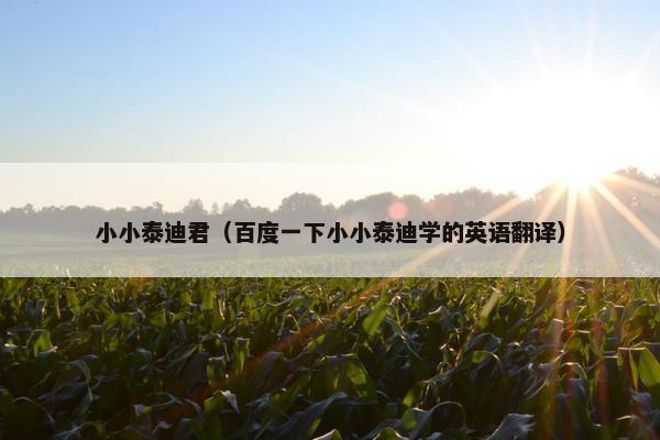 小小泰迪君（百度一下小小泰迪学的英语翻译）