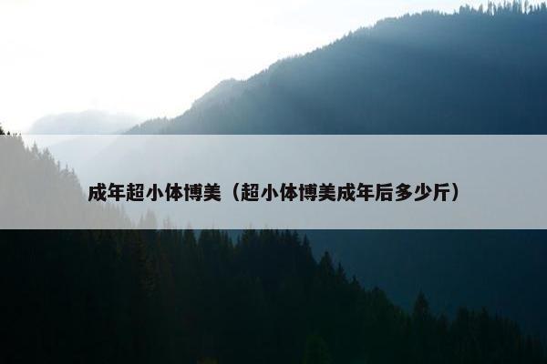 成年超小体博美（超小体博美成年后多少斤）