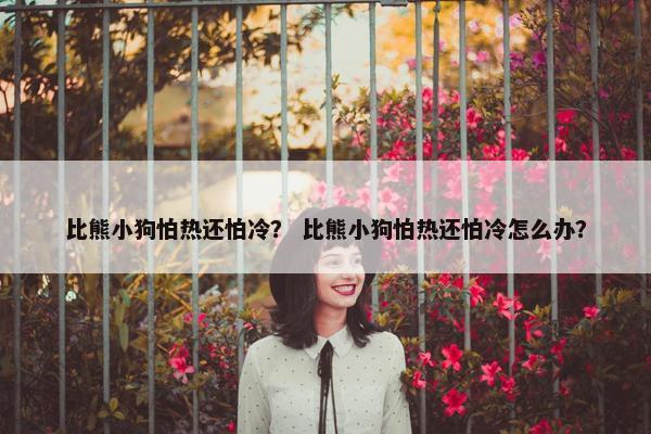 比熊小狗怕热还怕冷？ 比熊小狗怕热还怕冷怎么办？