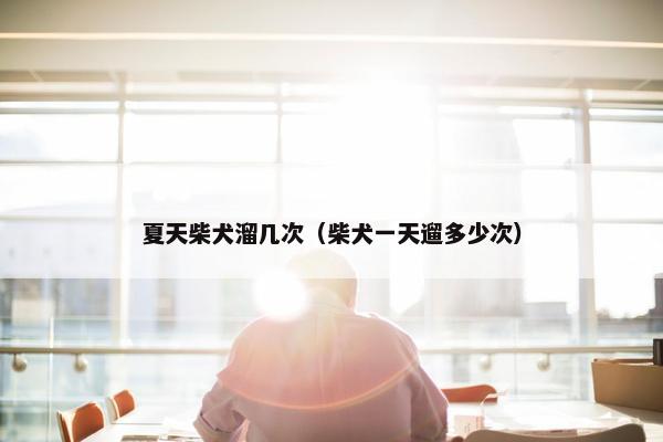夏天柴犬溜几次（柴犬一天遛多少次）