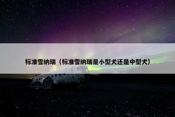 标准雪纳瑞（标准雪纳瑞是小型犬还是中型犬）