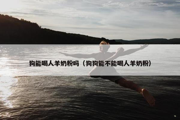 狗能喝人羊奶粉吗（狗狗能不能喝人羊奶粉）