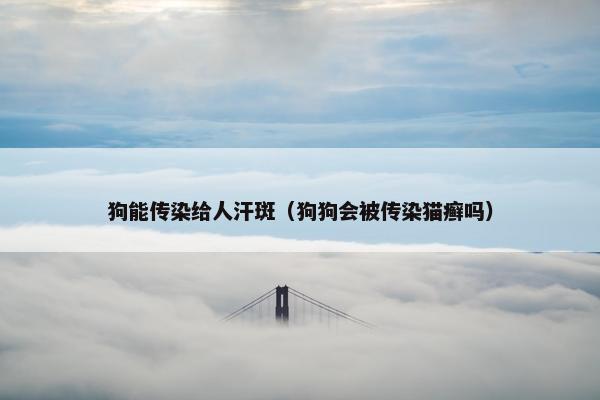 狗能传染给人汗斑（狗狗会被传染猫癣吗）