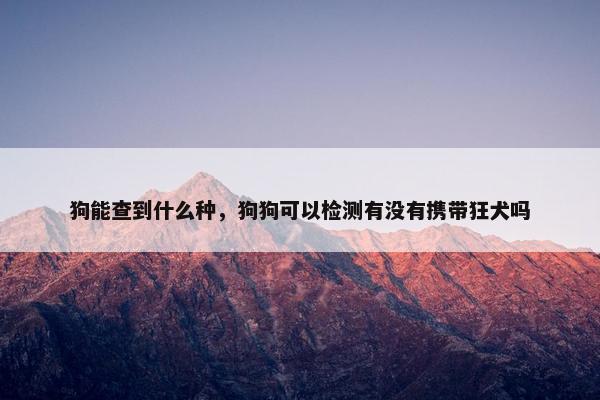 狗能查到什么种，狗狗可以检测有没有携带狂犬吗