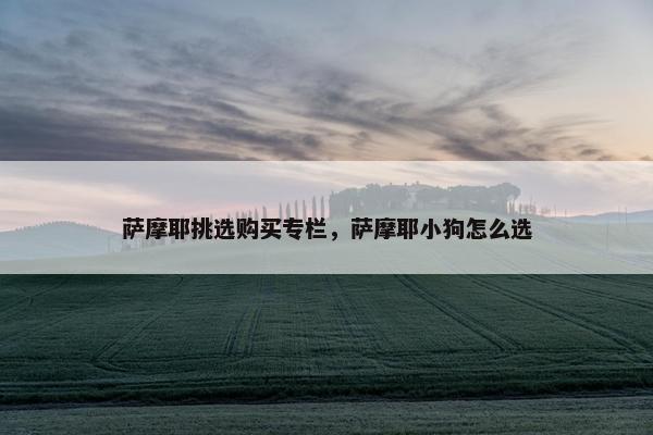 萨摩耶挑选购买专栏，萨摩耶小狗怎么选