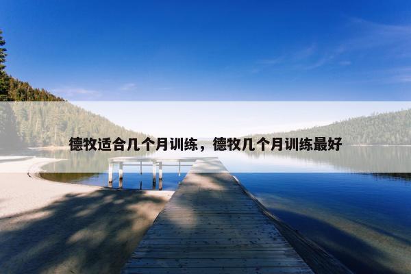 德牧适合几个月训练，德牧几个月训练最好