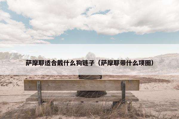 萨摩耶适合戴什么狗链子（萨摩耶带什么项圈）