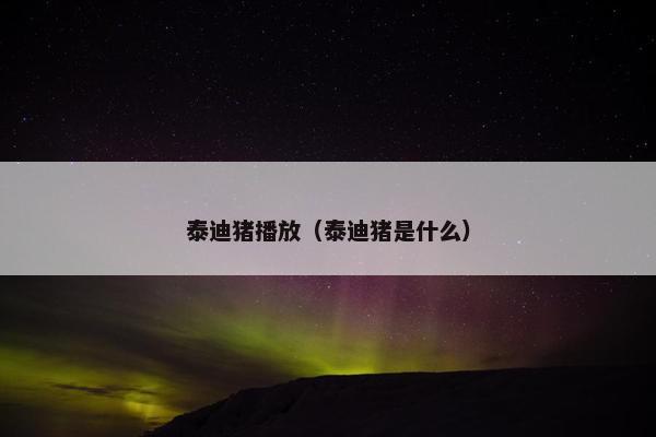 泰迪猪播放（泰迪猪是什么）