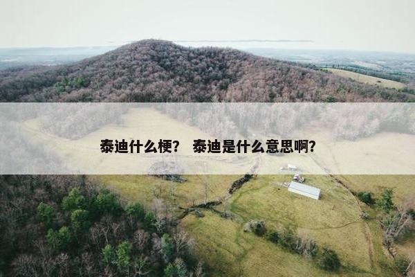 泰迪什么梗？ 泰迪是什么意思啊？