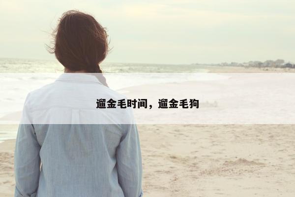 遛金毛时间，遛金毛狗