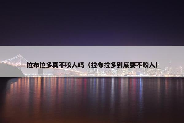 拉布拉多真不咬人吗（拉布拉多到底要不咬人）