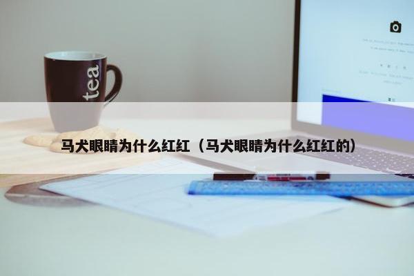 马犬眼睛为什么红红（马犬眼睛为什么红红的）