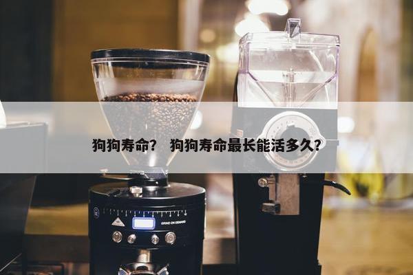 狗狗寿命？ 狗狗寿命最长能活多久？